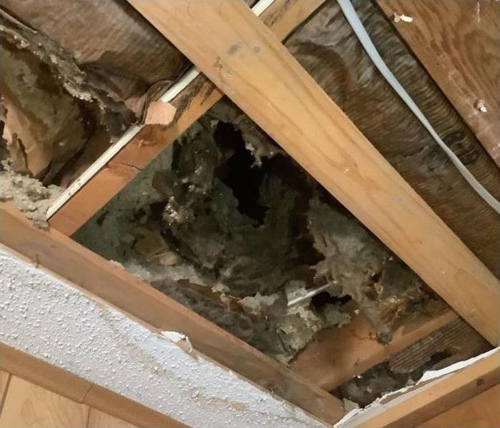 Repairing water damaged ceiling
