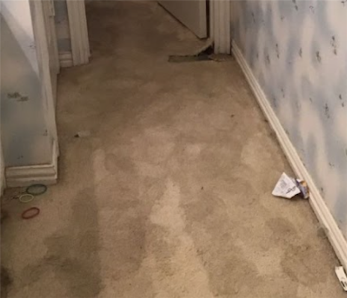 Wet Carpet in Family Home