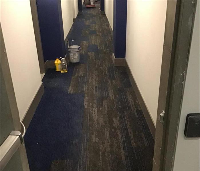 Drying Out Water from Hallway Carpets